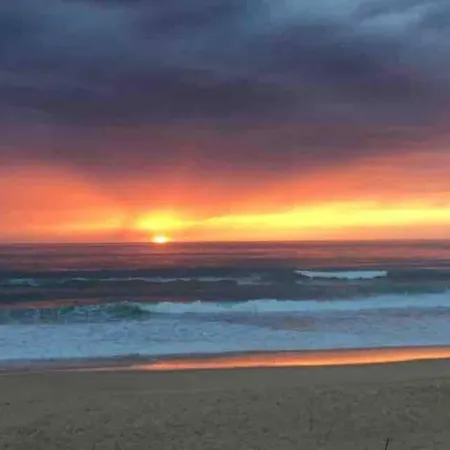 La Graviere, Cozy Studio Wifi & Parking 20M Ocean Surf Plage Soorts-Hossegor Exterior photo