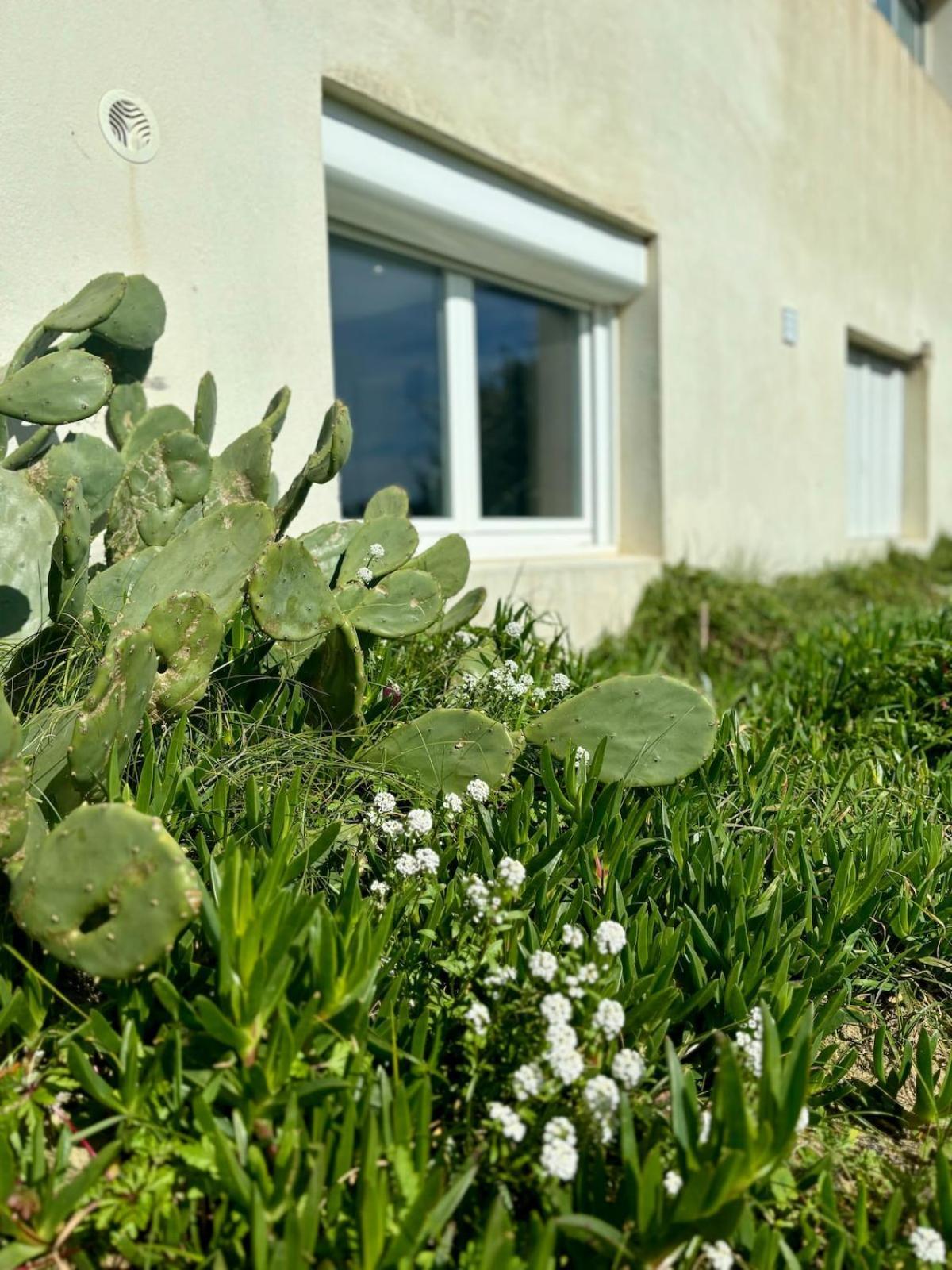 Apartment La Graviere, Cozy Wifi & Parking 20m Ocean Surf *
